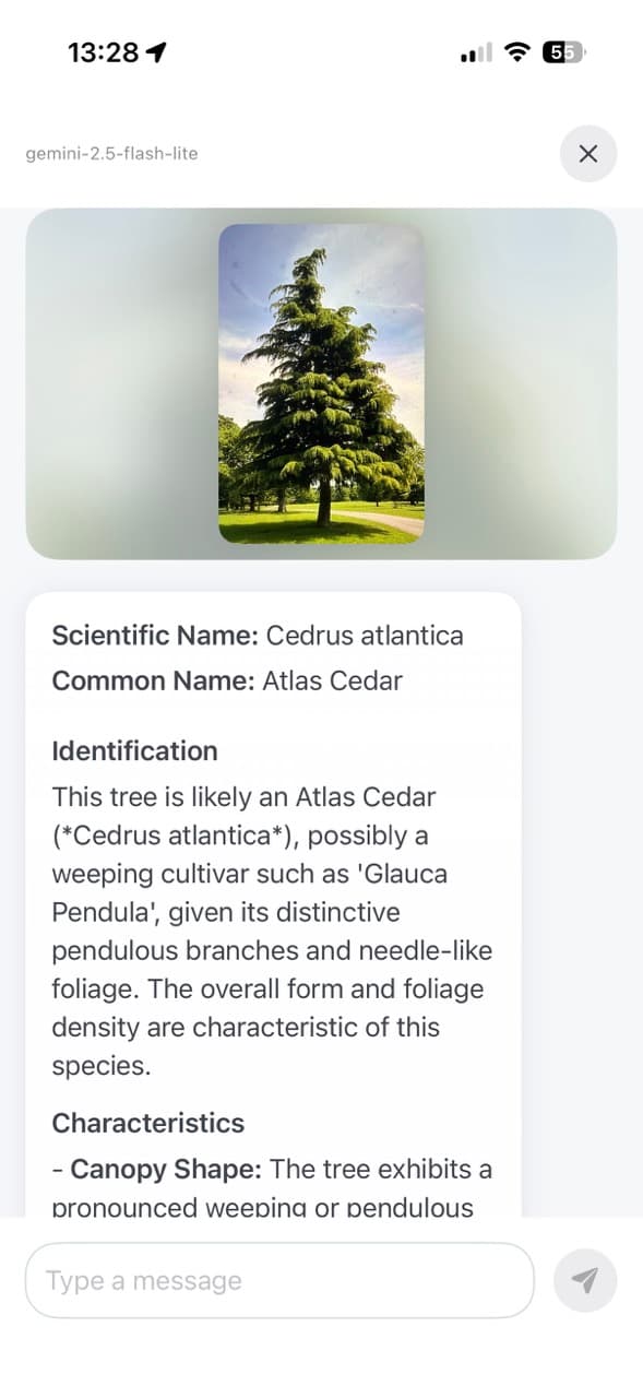 AI tree identification result