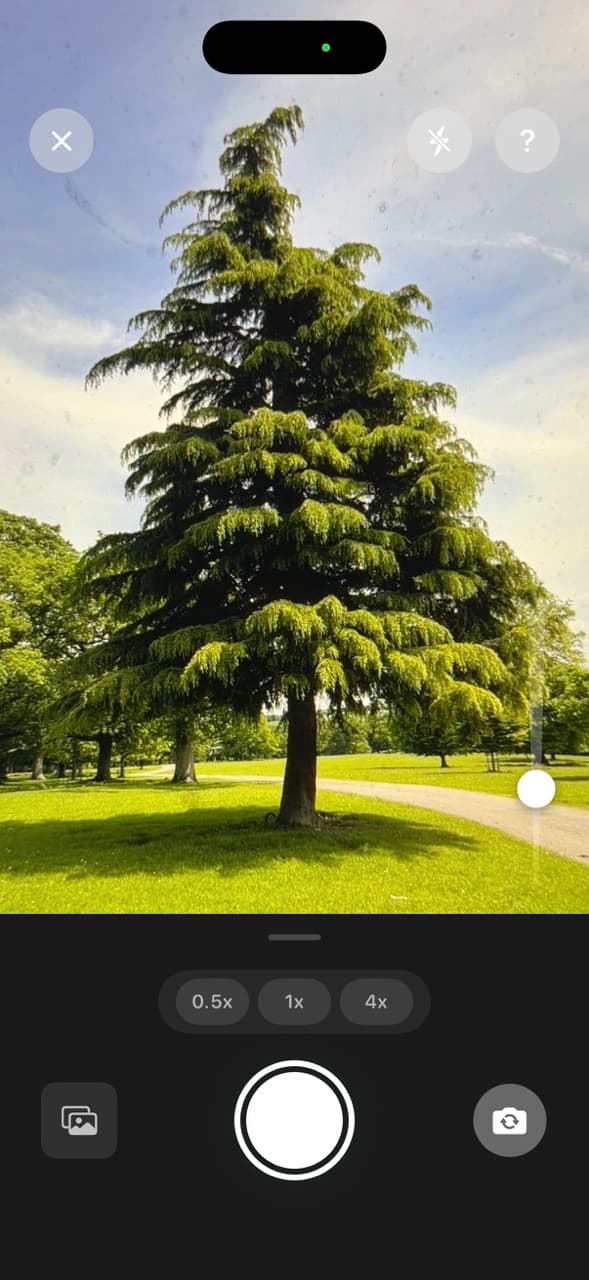 Camera view for scanning trees